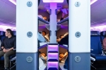 Air New Zealand Bunk Beds new updates, Air New Zealand Bunk Beds new updates, air new zealand introduces bunk beds in economy flights, New york