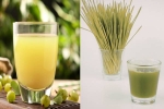 Amla Juice Vs Wheatgrass Juice, Amla Juice Vs Wheatgrass Juice, amla juice vs wheatgrass juice for fatty liver, Improv
