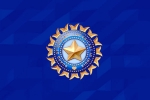 BCCI Pakistan Logo, Champions Trophy 2025 breaking, bcci breaks silence on refusal to sport pakistan logo, International cricket