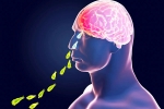 Brain-Eating Amoeba, Brain-Eating Amoeba, brain eating amoeba in kerala why and how it spreads, Girl