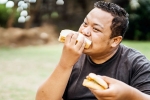 Bread for weightloss for health, Bread for weightloss breaking, will bread help in weightloss, 180