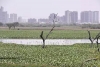 Delhi's Groundwater has More Toxic Chemicals