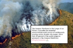 amazon, rainforest fires from NASA, in pictures devastating fires in amazon rainforest visible from space, Npt