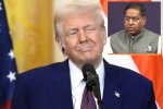 Donald Trump on Russian Oil Promise India, Donald Trump on Russian Oil Promise response, india responds to trump s claim on russian oil promise, Narendra modi