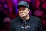 Elon Musk latest breaking, Elon Musk about Federal Workers, elon musk mocks federal workers on x, Federal workers
