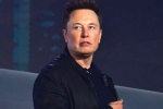 Elon Musk news, Elon Musk latest update, elon musk talks about cage fight again, Snacks