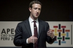 company, Facebook investors, facebook ceo refuses to quit amid pressure from investors, Mark zuckeberg