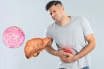 Fatty Liver 2025, Fatty Liver 2025, fatty liver can be reversed in just one month, Water