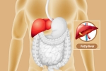 Fatty Liver symptoms, Fatty Liver prevention, dangers of fatty liver, Maharashtra