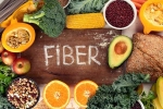 Fibre for Gut latest, Fibre for Gut suggestion, fibre is the most underrated nutrient for your gut, Protein Fibre for Gut latest, Fibre for Gut suggestion, fibre is the most underrated nutrient for your gut, Protein