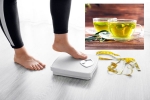 Green Tea for Weight loss latest tips, Green Tea for Weight loss business, can consuming green tea really help in weight loss, Green tea for weight loss