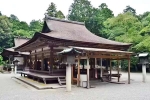 Japan Viral Mikami Shrine viral, Japan Viral Mikami Shrine videos, why are travellers flocking to japan s viral mikami shrine, Video Japan Viral Mikami Shrine viral, Japan Viral Mikami Shrine videos, why are travellers flocking to japan s viral mikami shrine, Video
