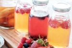Kombucha and Fermented Foods health updates, Kombucha and Fermented Foods breaking, health benefits of kombucha and fermented foods, Spicy