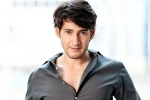 Mahesh Babu and Allu Arjun news, Pushpa, mahesh babu lauds the team of pushpa, Pushpa review