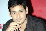 Vamshi Paidipally, Mahesh Babu next film, mahesh reveals his next projects, Newyear