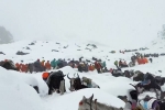 Mount Everest Snowstorm stranded, Mount Everest Snowstorm stranded, more than 1000 stranded near mount everest because of snow storm, Videos