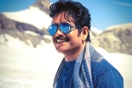 Nagarjuna news, Nagarjuna new film, nag in a bollywood remake, Manmadhudu 2