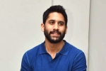 Naga Chaitanya upcoming film, Naga Chaitanya updates, change of plans for naga chaitanya, Nandini reddy