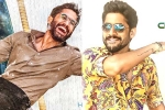 Naga Chaitanya, Naga Chaitanya birthday looks, naga chaitanya gearing up with two films, Sushanth