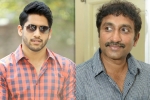 Naga Chaitanya updates, Srinu Vaitla, naga chaitanya to work with srinu vaitla, Mister Naga Chaitanya updates, Srinu Vaitla, naga chaitanya to work with srinu vaitla, Mister