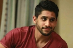 Naga Chaitanya upcoming film, Naga Chaitanya web series, naga chaitanya in talks for a web film, Web film
