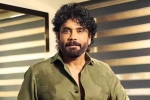 Nagarjuna Personal Rights court, Nagarjuna Personal Rights latest breaking, delhi high on nagarjuna s personal rights, Kapoor