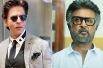 No Cameo for Shah Rukh Khan in Jailer 2