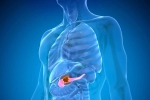 Pancreatic Cancer symptoms, Pancreatic Cancer doctors, how to protect yourself from pancreatic cancer, World health organization