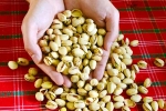 Pistachios news, Pistachios protein snack, pistachios are a perfect protein snack, Walnuts
