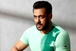 Salman Khan Acharya, Salman Khan Acharya, salman khan coming for chiranjeevi and charan, Lucifer remake