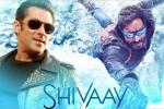 Salman Khan news, Salman Khan latest, salman khan to promote shivaay, Big boss Salman Khan news, Salman Khan latest, salman khan to promote shivaay, Big boss