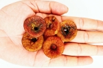 Soaked Anjeer latest breaking, Soaked Anjeer new updates, can you take soaked anjeer every day, Bangalore