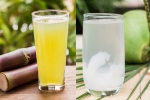 Sugarcane Juice Vs Coconut Water hydrating, Sugarcane Juice Vs Coconut Water hydration, sugarcane juice vs coconut water which is hydrating, Electro