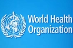 World Health Organization news, USA, usa withdraws from world health organization, Partner