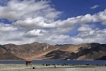 Galwan valley, borders, india orders china to vacate finger 5 area near pangong lake, Envoy