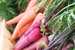 Which Carrot is More Beneficial for Health?