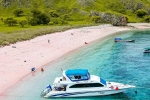 Pink Beach in Indonesia breaking, Pink Beach in Indonesia breaking, which pink beach should you visit in indonesia, Usa