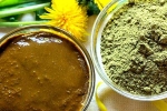 Henna for hair, Henna new updates, how henna helps for hair growth and health, Dandruff