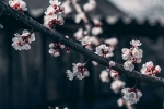 new years, resolution, 21 things to do to get 2021 started on the right track, New years
