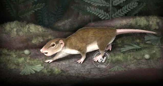 Mysterious creature discovered},{Mysterious creature discovered