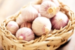 Chinese garlic banned reasons, Chinese garlic banned, how to identify banned chinese garlic in the indian market, Rajkot