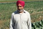 Canadian Sikh man saved a girl from drowning, Canadian Sikh man saved a girl from drowning, canadian sikh man saved a girl with his turban, Kamloops