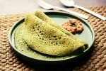 Curry Leaves Dosa breaking news, Curry Leaves Dosa making, recipe curry leaves dosa, South indian