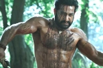 Ramaraju for Bheem teaser time, Ramaraju for Bheem news, ramaraju for bheem ntr s deadly transformation as komaram bheem, Birth anniversary