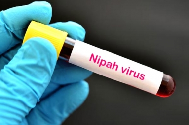 Nipah Virus Is Back Again: Two Deaths Registered