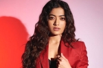 Rashmika and Manager latest, Rashmika and Manager controversy, rashmika mandanna clears air, Animal film