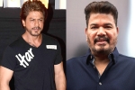 Shah Rukh Khan new film, Shankar, shah rukh khan and shankar to team up for a sci fi thriller, King khan