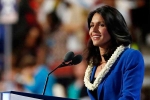 India, president, tulsi gabbard likely to run for u s presidency in 2020 sources, Kain