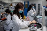 RpYNo6 China bats, RpYNo6 virus, chinese scientists discover new virus similar to coronavirus, Rpyno6 virus